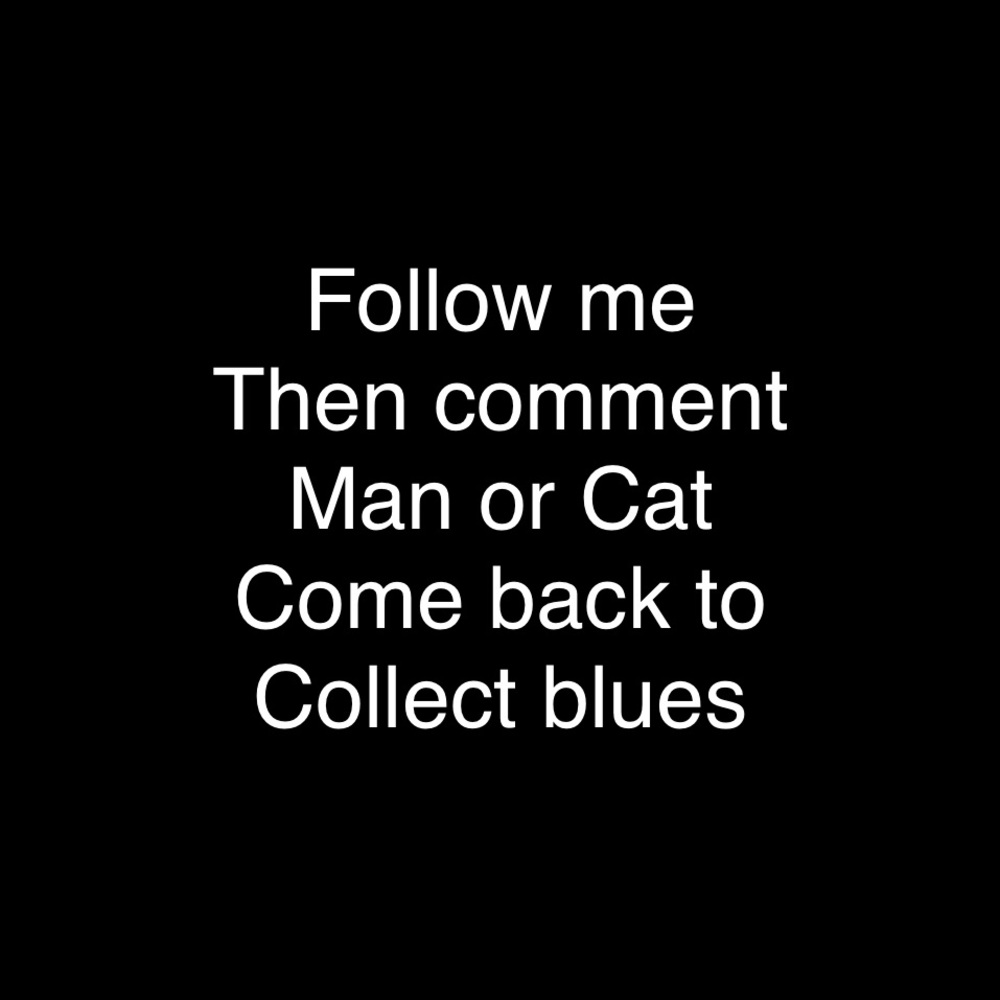 🔥🐈 PLs Send this cat for WALK🔥 SHARE 🐈🐈🐈🐈🐈🐈🐈🐈🐈🐈🐈🐈🐈🐈 - Picture 2 of 8